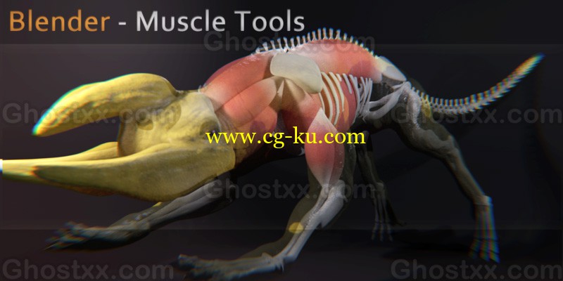 Muscle Tools Add On的图片1