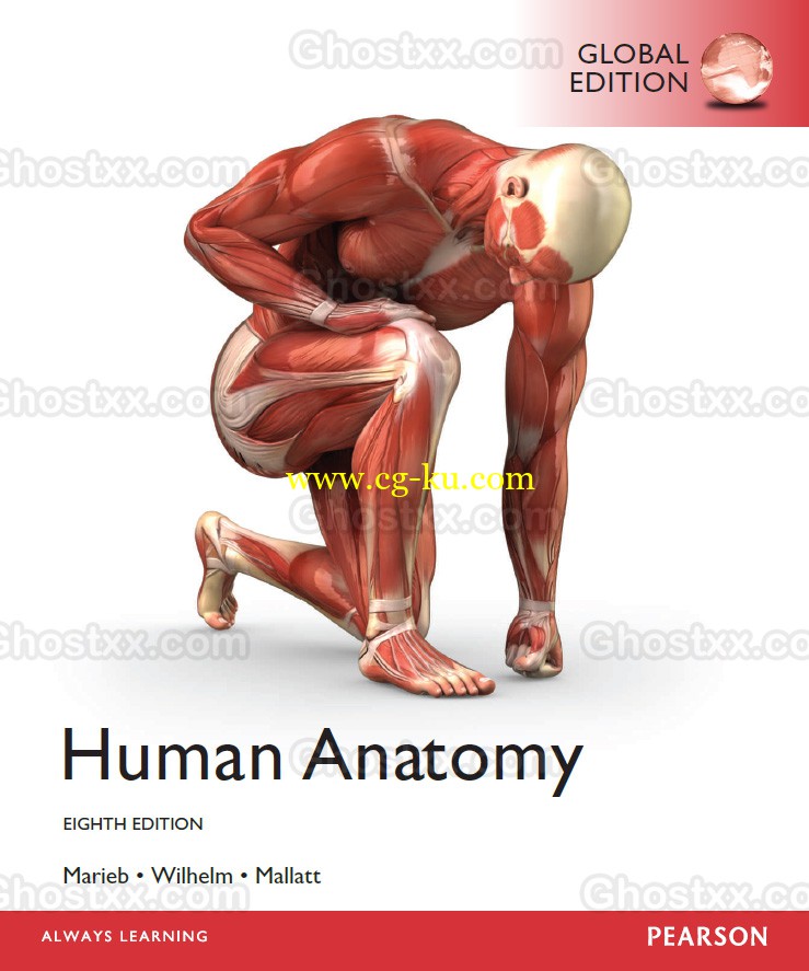 Marieb - Human Anatomy 8th GLOBAL Edition的图片1