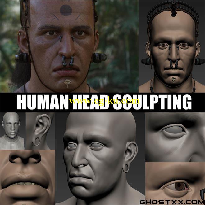 Gumroad - Human Head Sculpting by Peter Zoppi的图片1