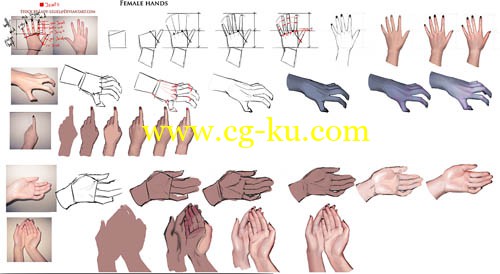 Gumroad - Sakimichan 系列人体手绘教程18部的图片9