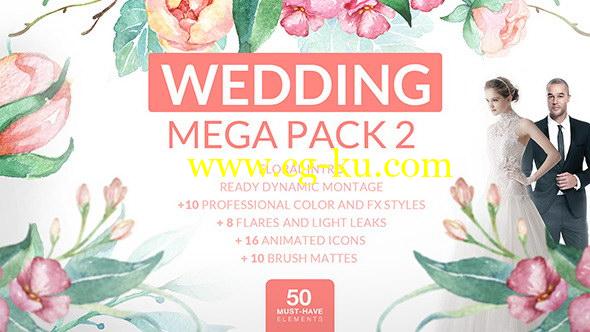 AE模板：水墨油彩花枝生长调色炫光浪漫婚礼包装 Wedding Mega Pack 2的图片1