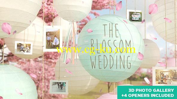 AE模板：浪漫花瓣飞舞灯笼相框婚礼相册图片包装展示的图片1