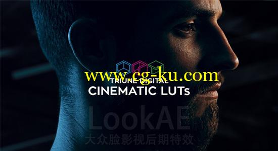 300组LUTs电影大片风格调色预设 Triune Digital: Cinematic LUTs的图片1