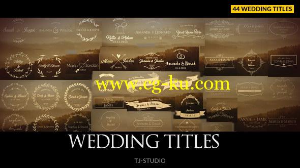 AE模板：44种漂亮简洁婚礼新人姓名生长标题动画 Wedding Titles的图片1