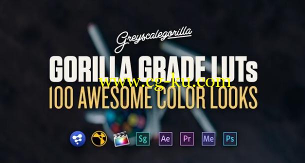 灰猩猩出品100种 LUTs 电影调色预设 GreyScaleGorilla – Grade LUTs的图片1