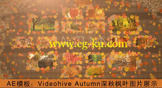 AE模板：Videohive Autumn 深秋枫叶图片展示的图片1