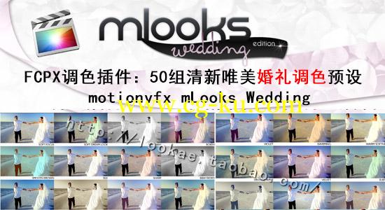 FCPX调色插件：50组清新唯美婚礼调色预设motionvfx mLooks Wedding的图片1
