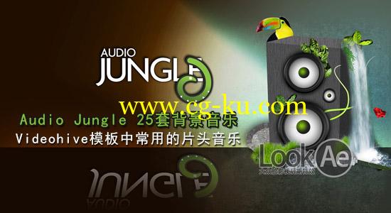 Videohive 模板中常用的 Audio jungle 音频素材片头背景音乐的图片1