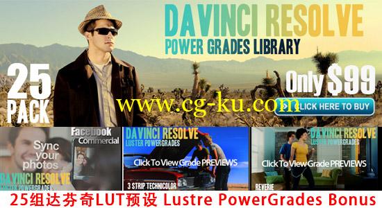 25组达芬奇LUT预设 Lustre Power Grades Bonus for DaVinci Resolve的图片1