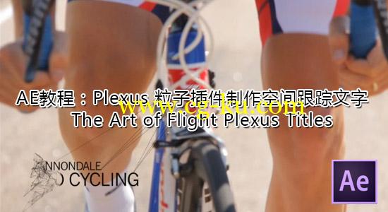AE教程：Plexus粒子插件制作空间跟踪文字 The Art of Flight Plexus Titles的图片1
