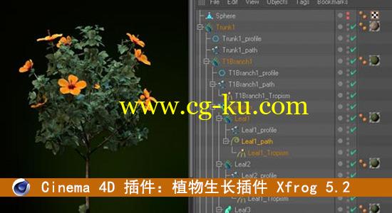 Cinema 4D 插件：植物生长插件 Xfrog 5.2（Mac/Win）的图片1