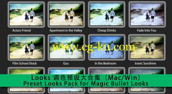 Looks 调色预设大合集（Mac/Win）Preset Looks Pack for Magic Bullet Looks的图片1