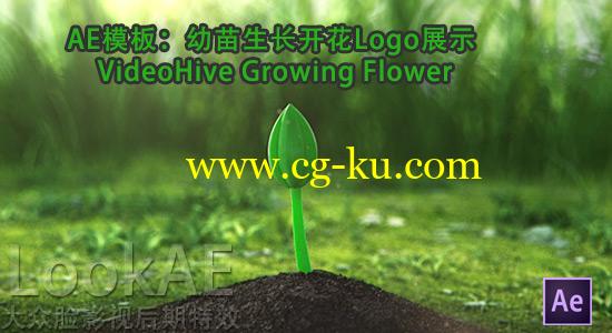 AE模板：幼苗生长开花Logo展示 VideoHive Growing Flower的图片1