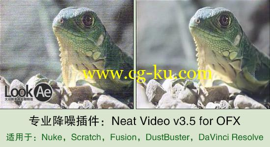 专业降噪插件：Neat Video v3.5 for OFX（适用：Nuke,Fusion,达芬奇）的图片1