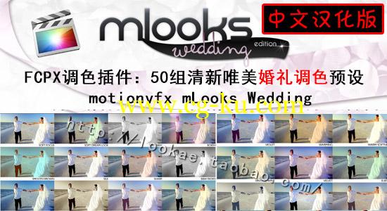 FCPX中文汉化插件：50组清新唯美婚礼调色 motionvfx mLooks Wedding的图片1