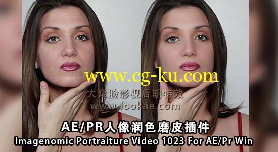 AE/PR人像润色磨皮插件 Imagenomic Portraiture Video 1023 For AE/Pr Win的图片1