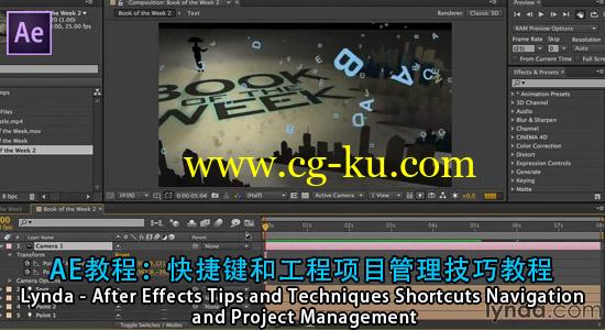 AE教程：快捷键和工程项目管理技巧教程Lynda – After Effects Tips and Techniques Shortcuts Navigation and Project Management的图片1