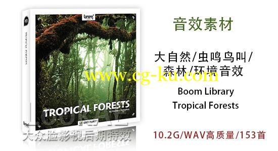 音效：大自然虫鸣鸟叫森林环境音效 Boom Library – Tropical Forests的图片1