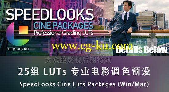 25组 LUTs 专业电影调色预设 SpeedLooks Cine Luts Packages (Win/Mac)的图片1