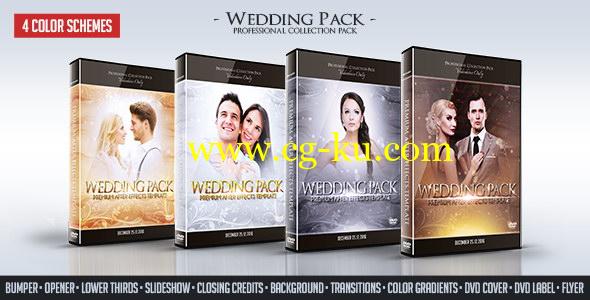 AE模版：4色唯美粒子效果婚礼包装动画  Wedding Pack 12071574的图片1