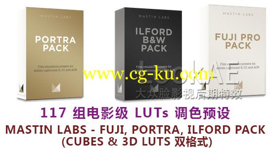 117组 LUTs 专业电影调色预设 Mastin Labs – Fuji, Portra, Ilford Pack cubes & 3dl的图片1
