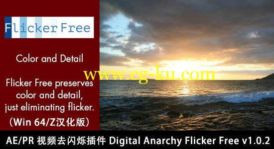 AE/PR 视频去闪烁插件 Digital Anarchy Flicker Free v1.1.2 CE的图片1