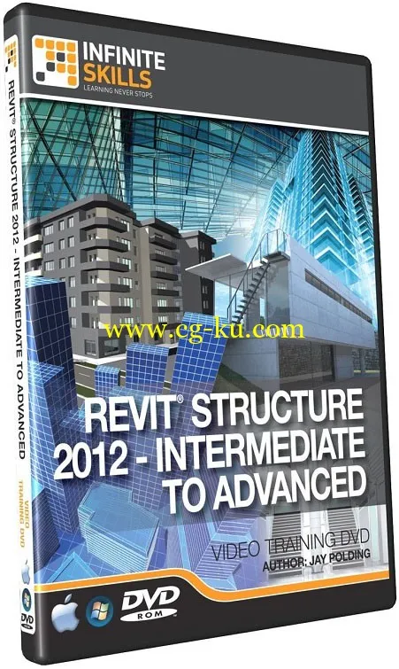 高级Revit结构 2012年培训视频教程的图片1