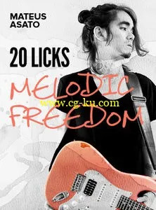 20 Licks Melodic Freedom With Mateus Asato (2015)的图片1