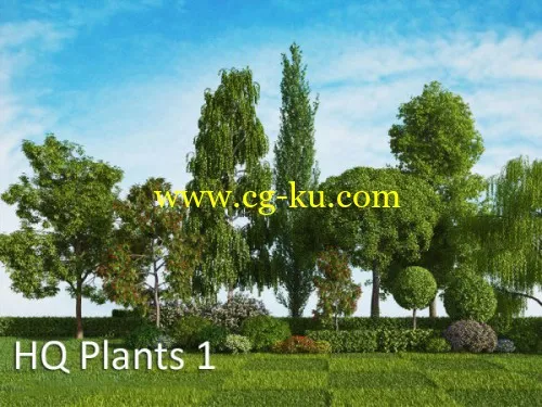 vrayc4d – HQPlants vol.1forCinema4D植物模型第2卷的图片1