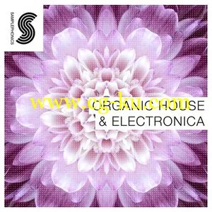 Samplephonics Organic House and Electronica MULTiFORMAT的图片1
