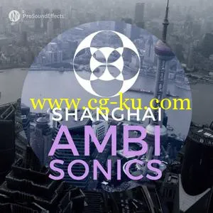 音效下载Pro Sound Effects Shanghai Ambisonics WAV的图片1