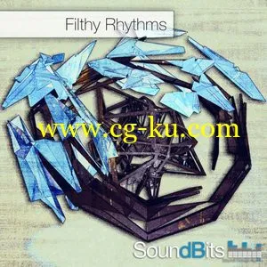 SoundBits Filthy Rhythms WAV的图片1