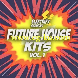 Elektrify Samples Future House Kits Vol.1 WAV的图片1