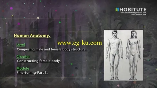 简单的步骤图绘图-男性与女性身体的解剖 (2015 年)的图片1