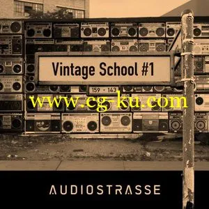 Audio Strasse Vintage School Vol.1 WAV的图片1