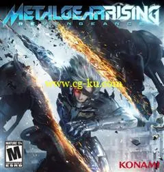 Metal Gear Rising Revengeance MACOSX-MONEY的图片1