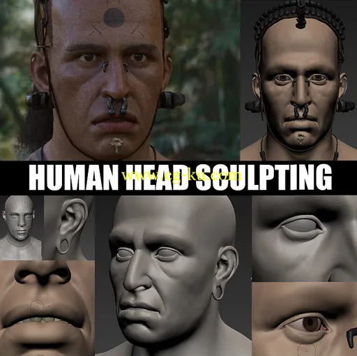 Gumroad – Human Head Sculpting by Peter Zoppi的图片1