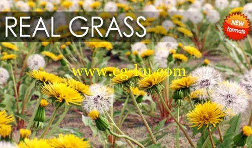 VIZPARK Real Grass for Cinema4D, Modo OBJ, FBX & LightWave的图片1