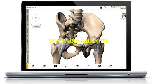 Visible Body Skeleton Premium v2.0.0 Win/MacOSX 3D可视化人体骨骼系统的图片2