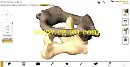 Visible Body Skeleton Premium v2.0.0 Win/MacOSX 3D可视化人体骨骼系统的图片4
