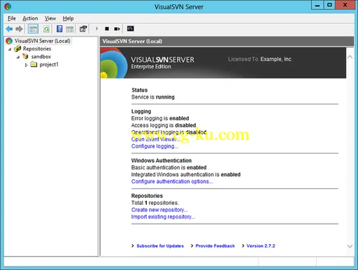 VisualSVN Server Enterprise 3.9.1的图片1