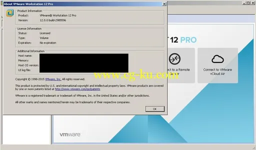 VMware Workstation Pro 12.5.9的图片2