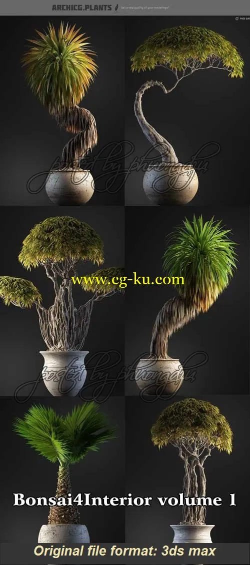 ArchiCG Plants : Bonsai4Interior Vol.1 盆栽植物模型的图片1