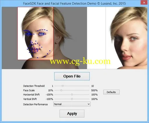 Luxand FaceSDK 6.5.1的图片1