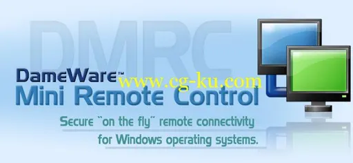 DameWare Mini Remote Control 12.1.0.34的图片1