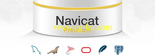 PremiumSoft Navicat Premium Enterprise 11.2.17 x86/x64的图片1