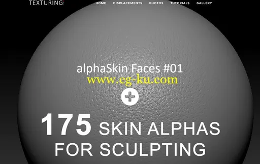 Texturing.xyz – 175 Skin Alphas for Sculpting的图片1