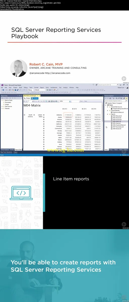 SQL Server Reporting Services Playbook的图片1