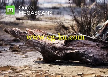 Quixel Megascans Studio 0.922 + Assets的图片1
