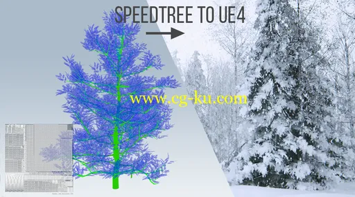 SpeedTree Collection for Unreal Engine 4的图片1